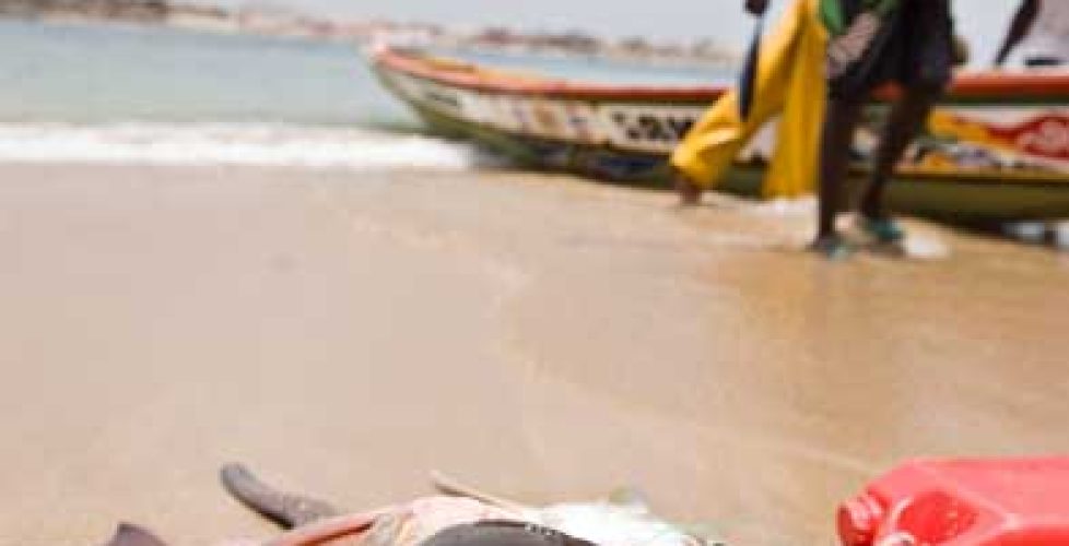 Maison Abaka DAKAR