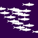 zoomzoom Maison Abaka DAKAR